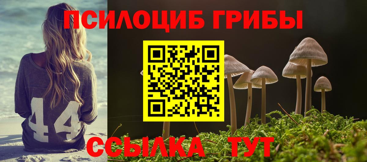 Севастополь  Псилоцибиновые грибы мицелий  Галлюциногенные грибы ЛСД  Вход с VPN 