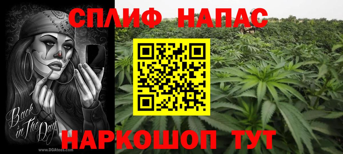 Шишки марихуана семена Севастополь